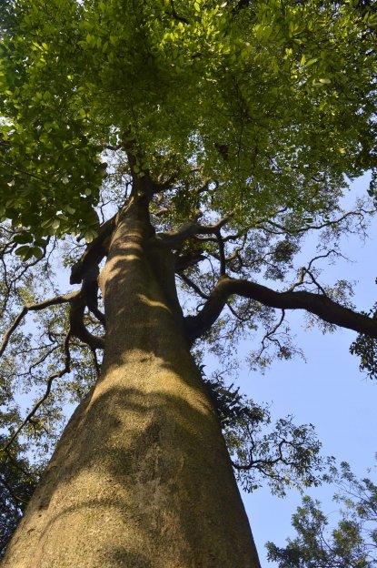 Kebun Raya Purwodadi, Kawasan Konservasi Yang Terapkan Konsep Wisata Alam Kekinian   