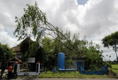 BPBD KABUPATEN PASURUAN HIMBAU MASYARAKAT WASPADAI ANGIN KENCANG