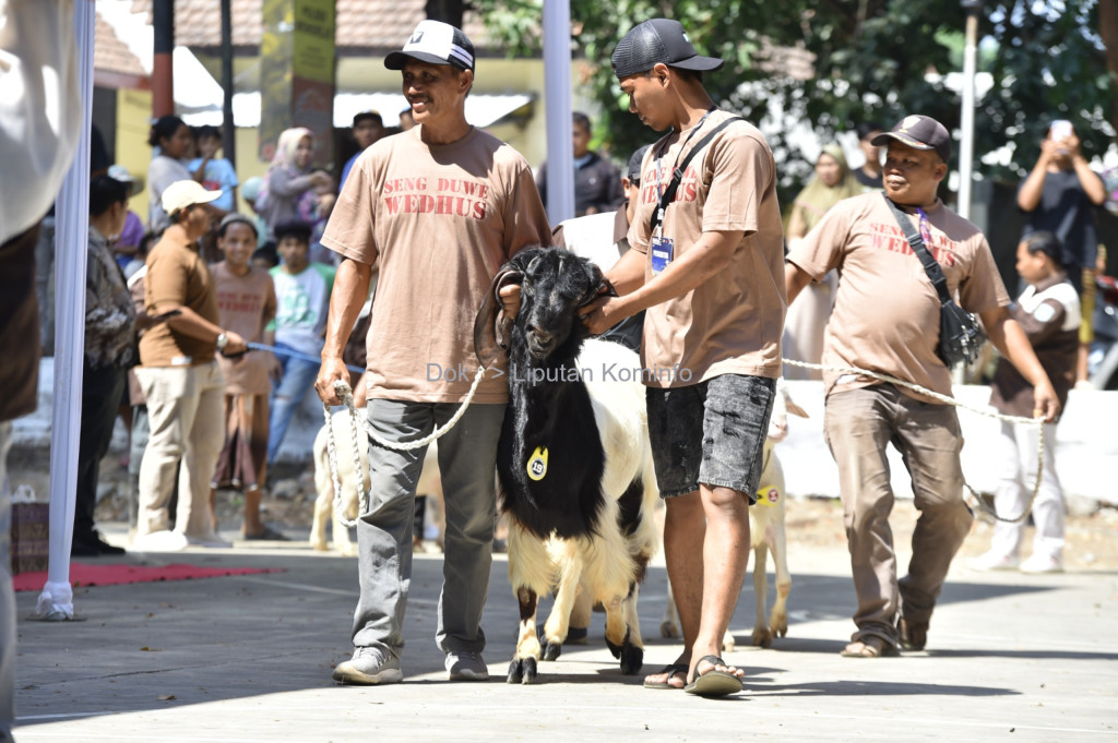 Kontes Domba Kambing, Pasar Murah dan Bakti Sosial Tahun 2024