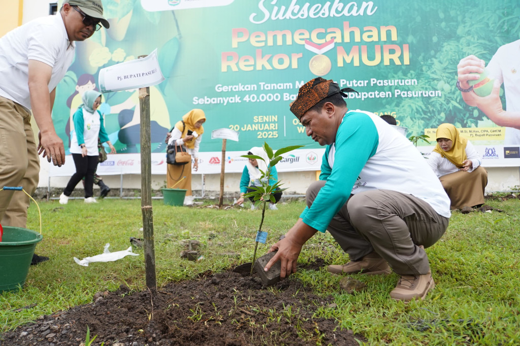 Pemecahan Rekor MURI Gertam 40.000 Mangga Putar