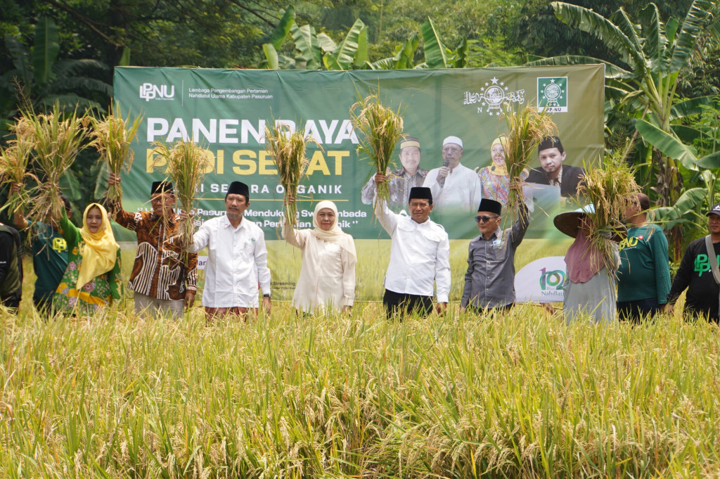 Gubernur Jatim Panen Raya Padi Sehat di Kabupaten Pasuruan